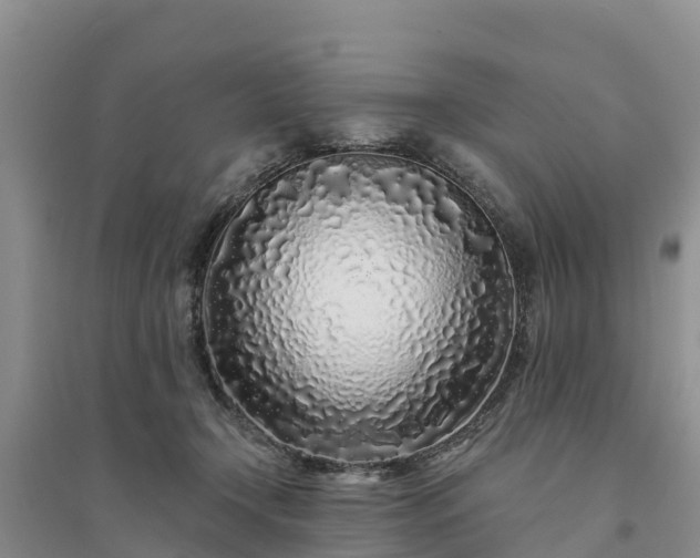 X0000094330366200711091411