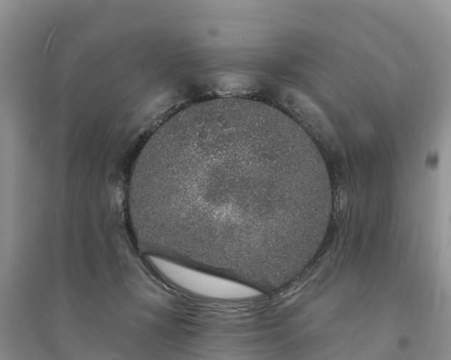 X0000094330367200711091411