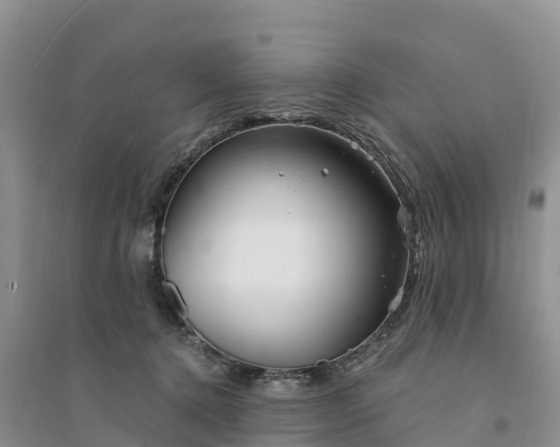 X0000094330368200711091411