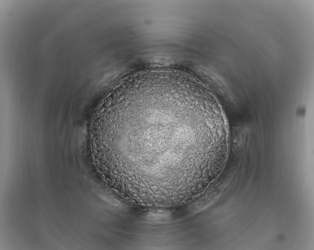 X0000094330369200711091411