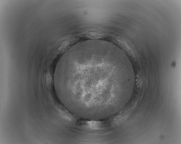 X0000094330371200711091411
