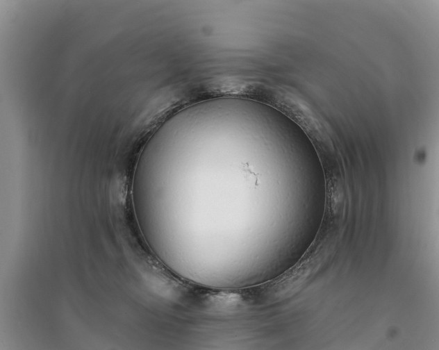 X0000094330374200711091411