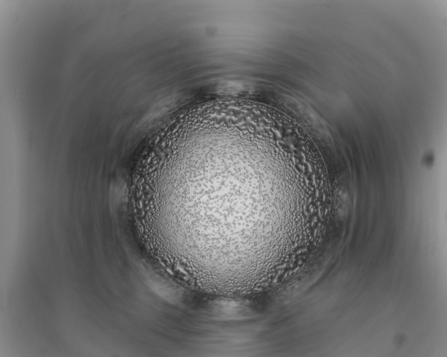 X0000094330375200711091411