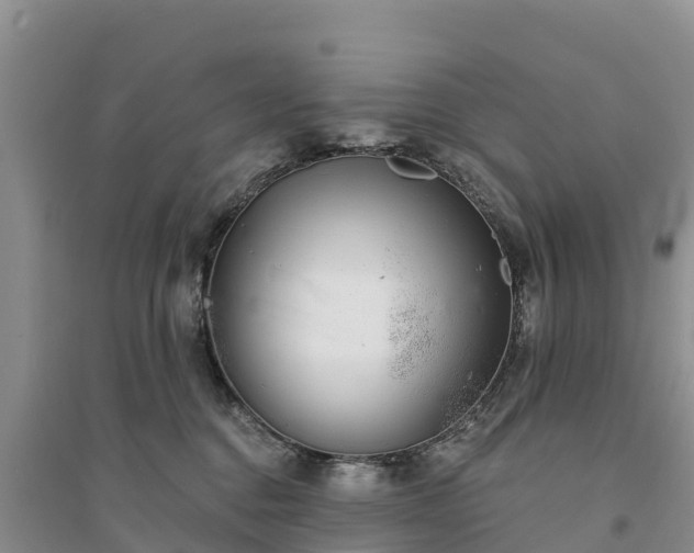 X0000094330376200711091411