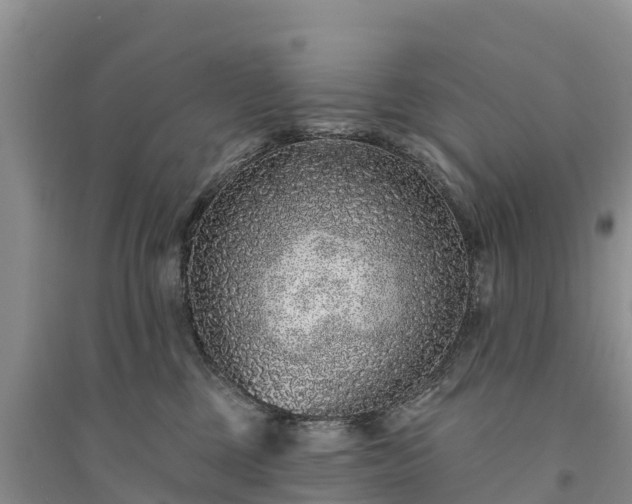 X0000094330377200711091411