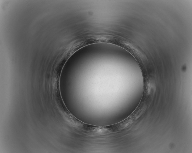 X0000094330379200711091411