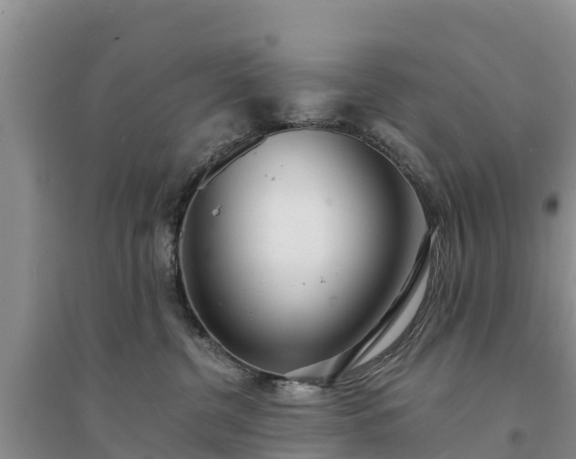 X0000094330380200711091411