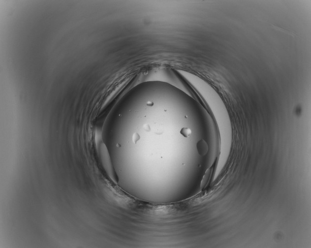 X0000094330382200711091411