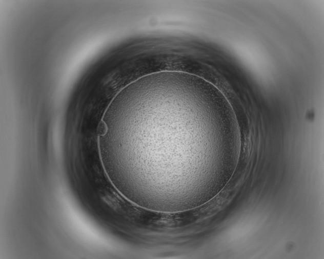 X0000094330383200711091411