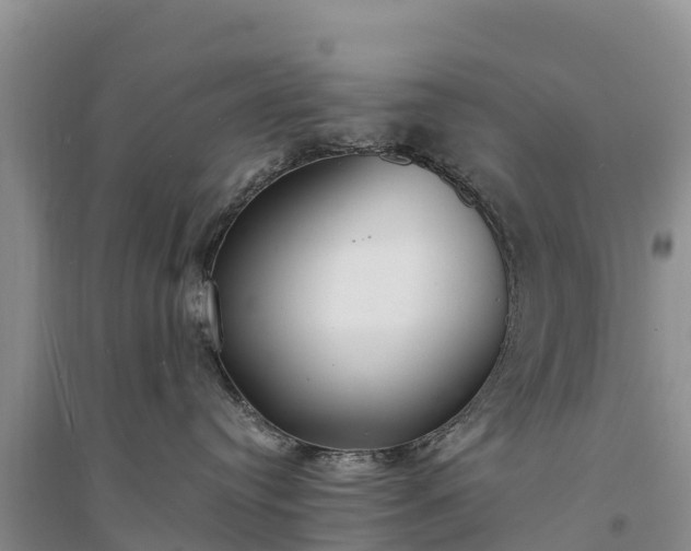 X0000094330384200711091411