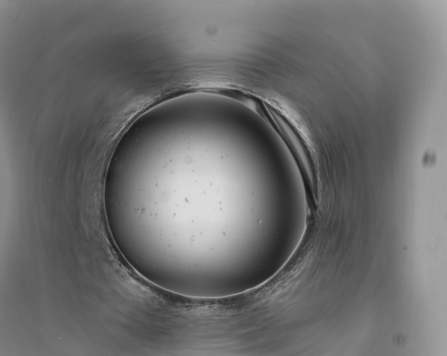 X0000094330385200711091410