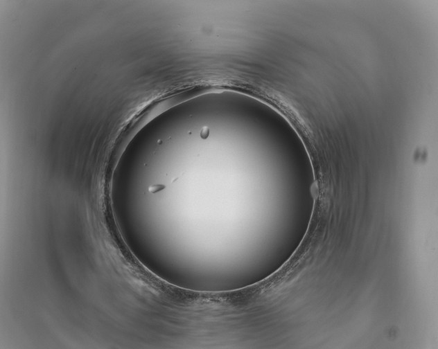 X0000094330386200711091410