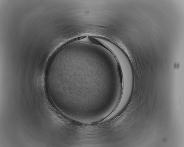 X0000094330387200711091410