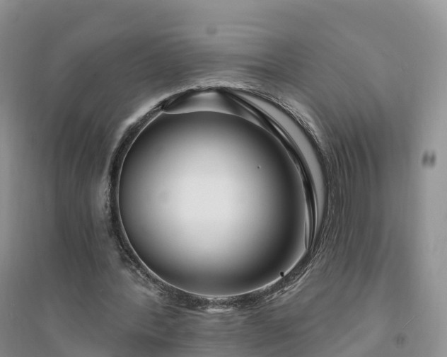 X0000094330388200711091410