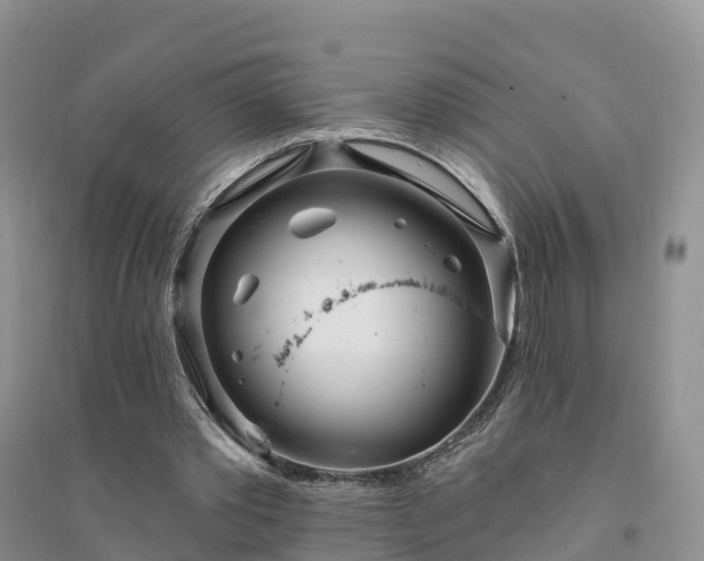 X0000094330389200711091410