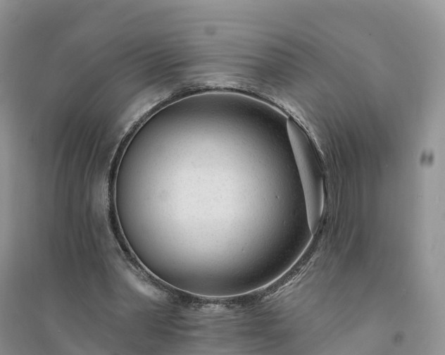 X0000094330390200711091410