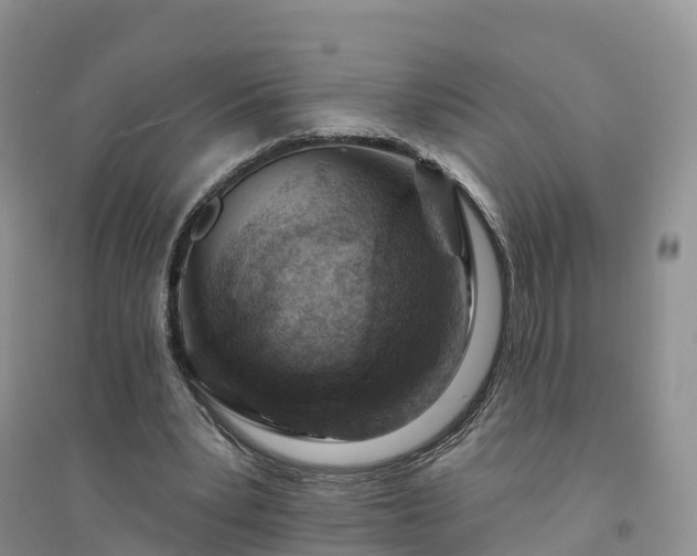 X0000094330391200711091410