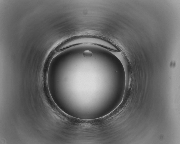 X0000094330392200711091410