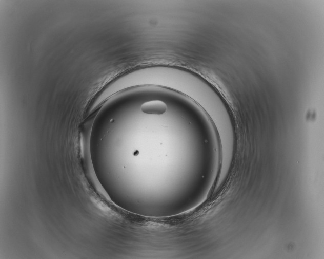X0000094330393200711091410