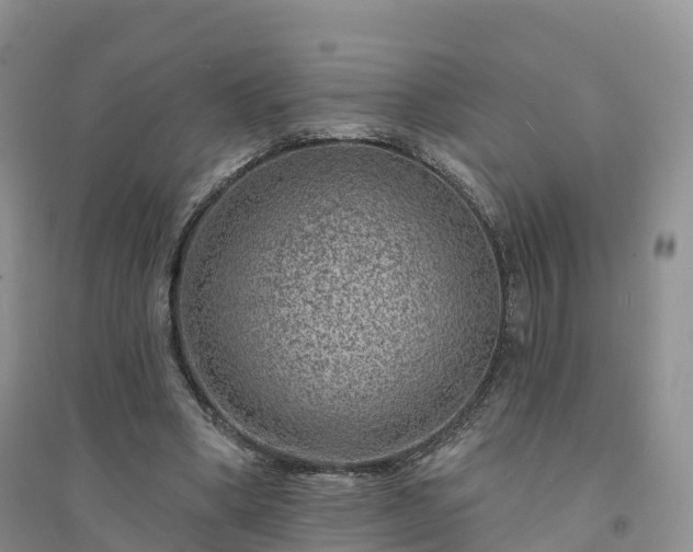 X0000094330394200711091410