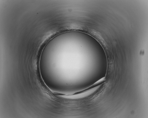 X0000094330395200711091410