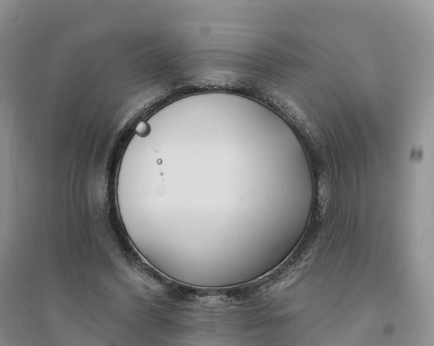 X0000094330396200711091410