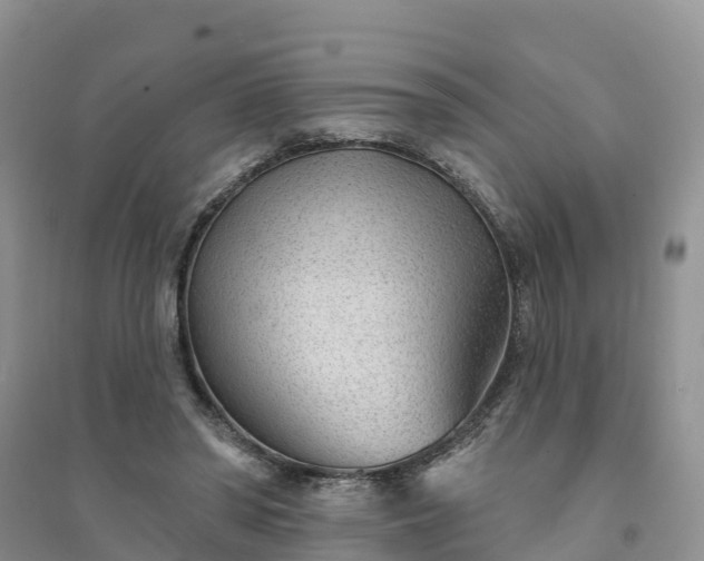 X0000094330398200711091410