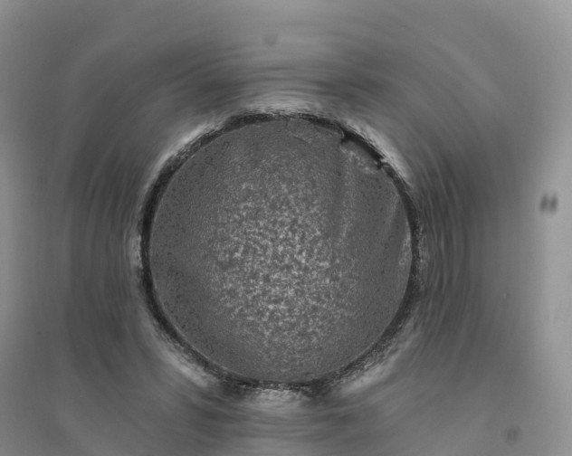 X0000094330399200711091410