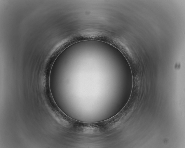 X0000094330400200711091410