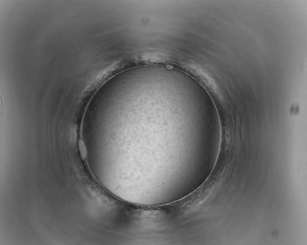X0000094330401200711091410