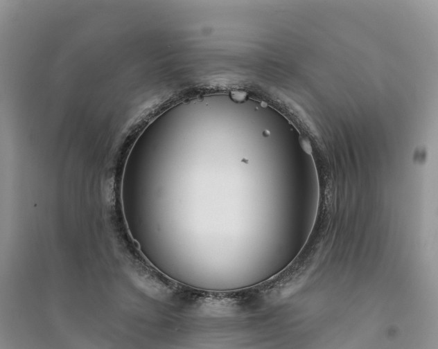 X0000094330403200711091410