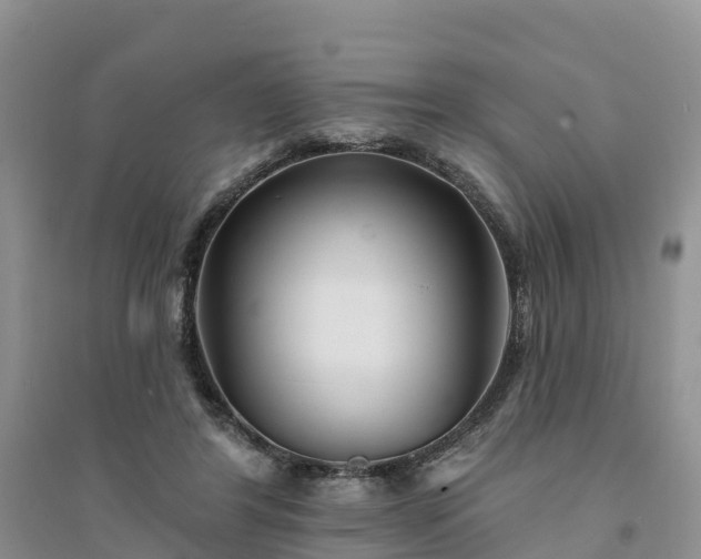 X0000094330404200711091410