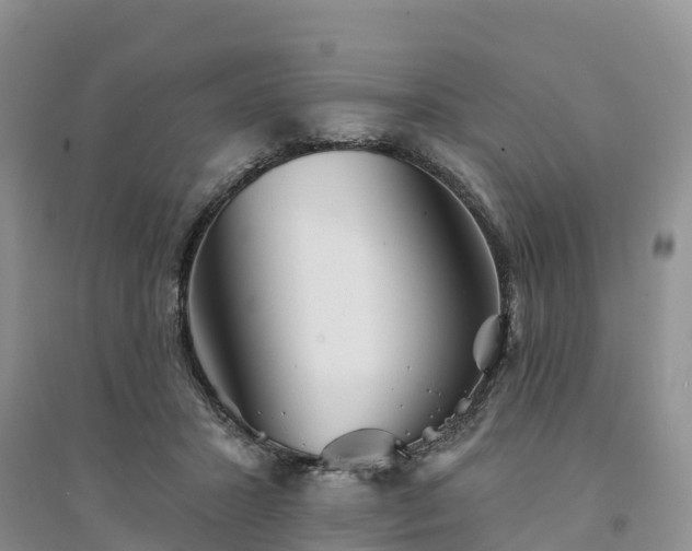 X0000094330407200711091410