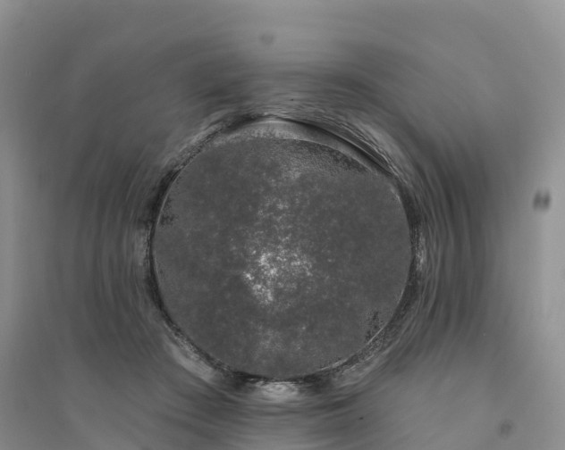 X0000094330409200711091410