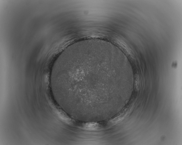 X0000094330410200711091410