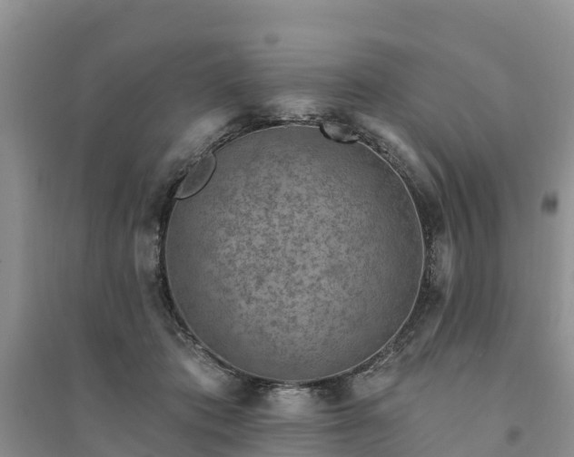 X0000094330413200711091410