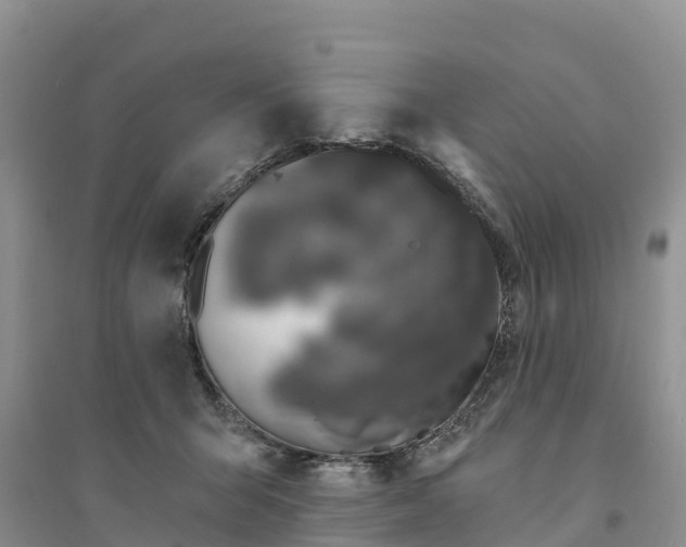 X0000094330415200711091410