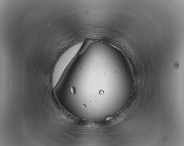 X0000094330416200711091410