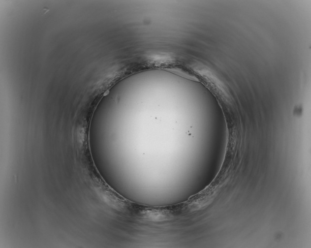 X0000094330417200711091410