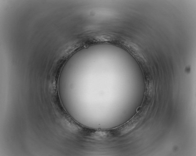 X0000094330418200711091410