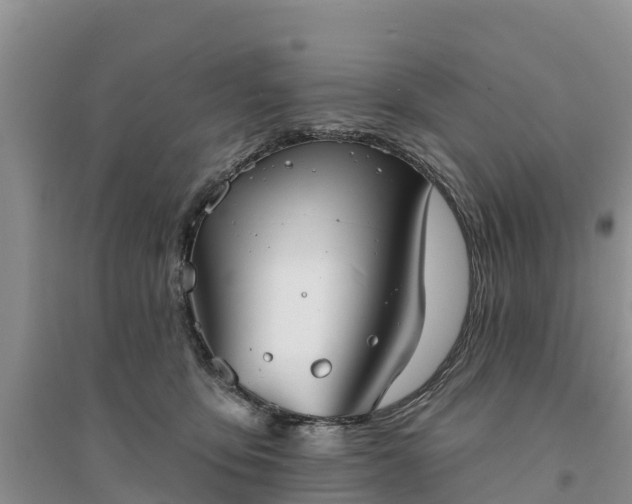 X0000094330419200711091410