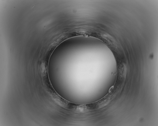 X0000094330420200711091410