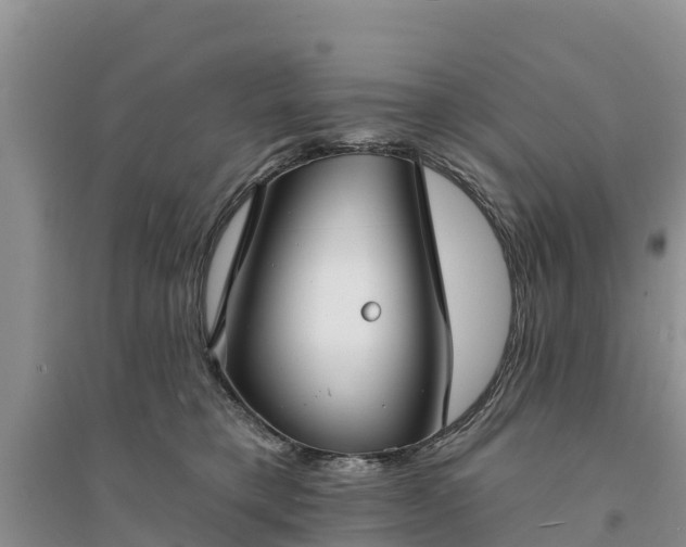 X0000094330421200711091410