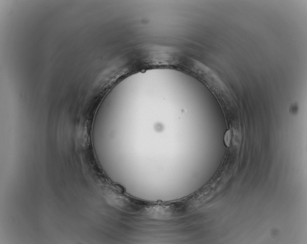 X0000094330422200711091410