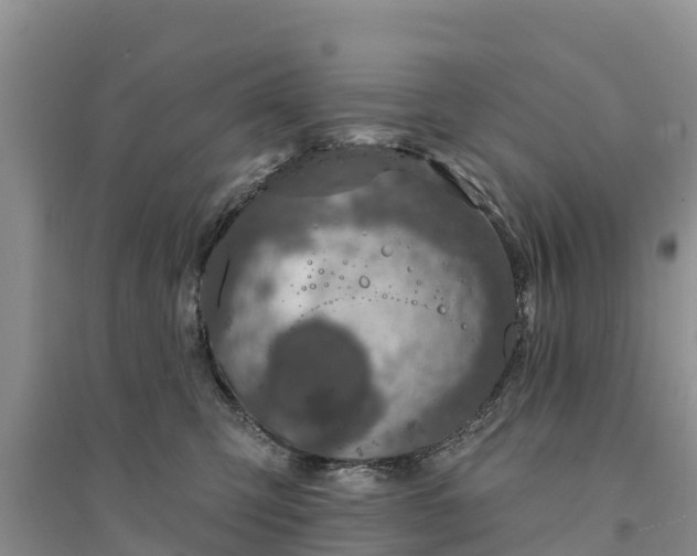 X0000094330423200711091410
