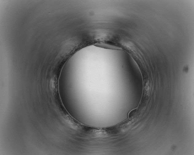 X0000094330424200711091410