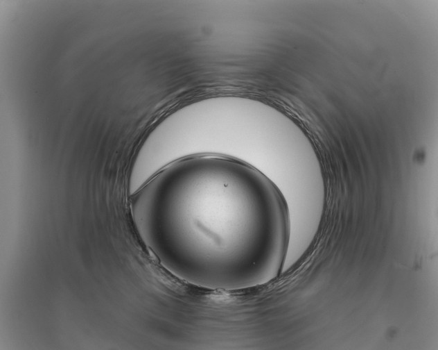 X0000094330425200711091410