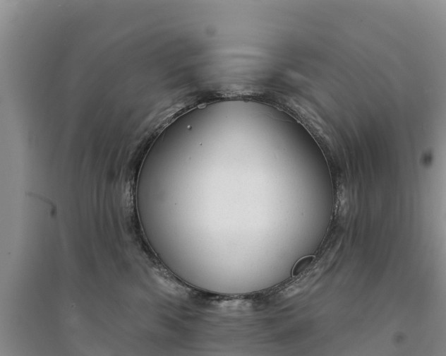 X0000094330426200711091410