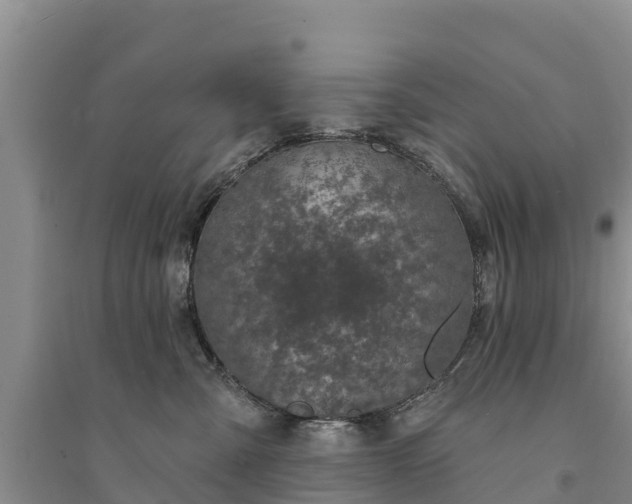 X0000094330427200711091410