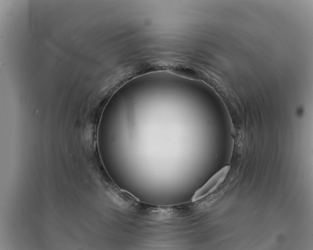 X0000094330428200711091410